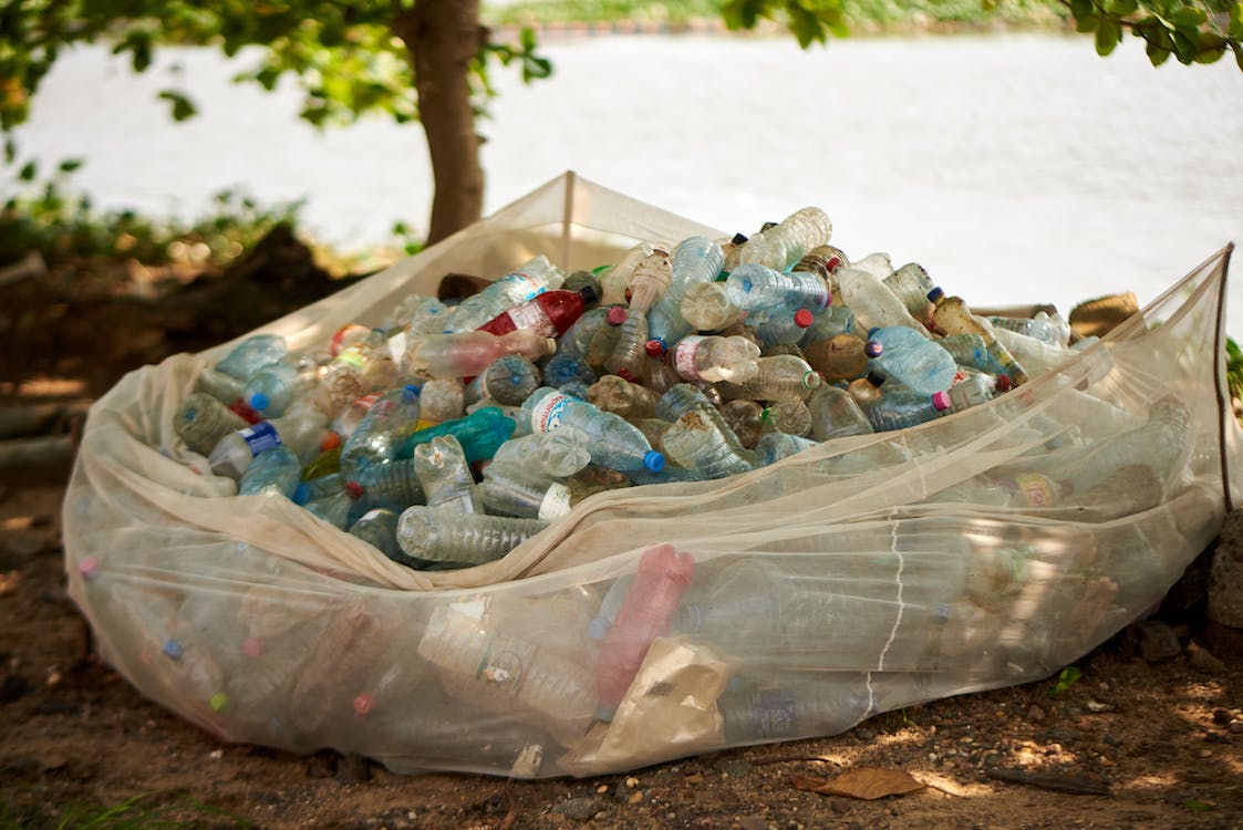 Plastic Bottle Pollution 